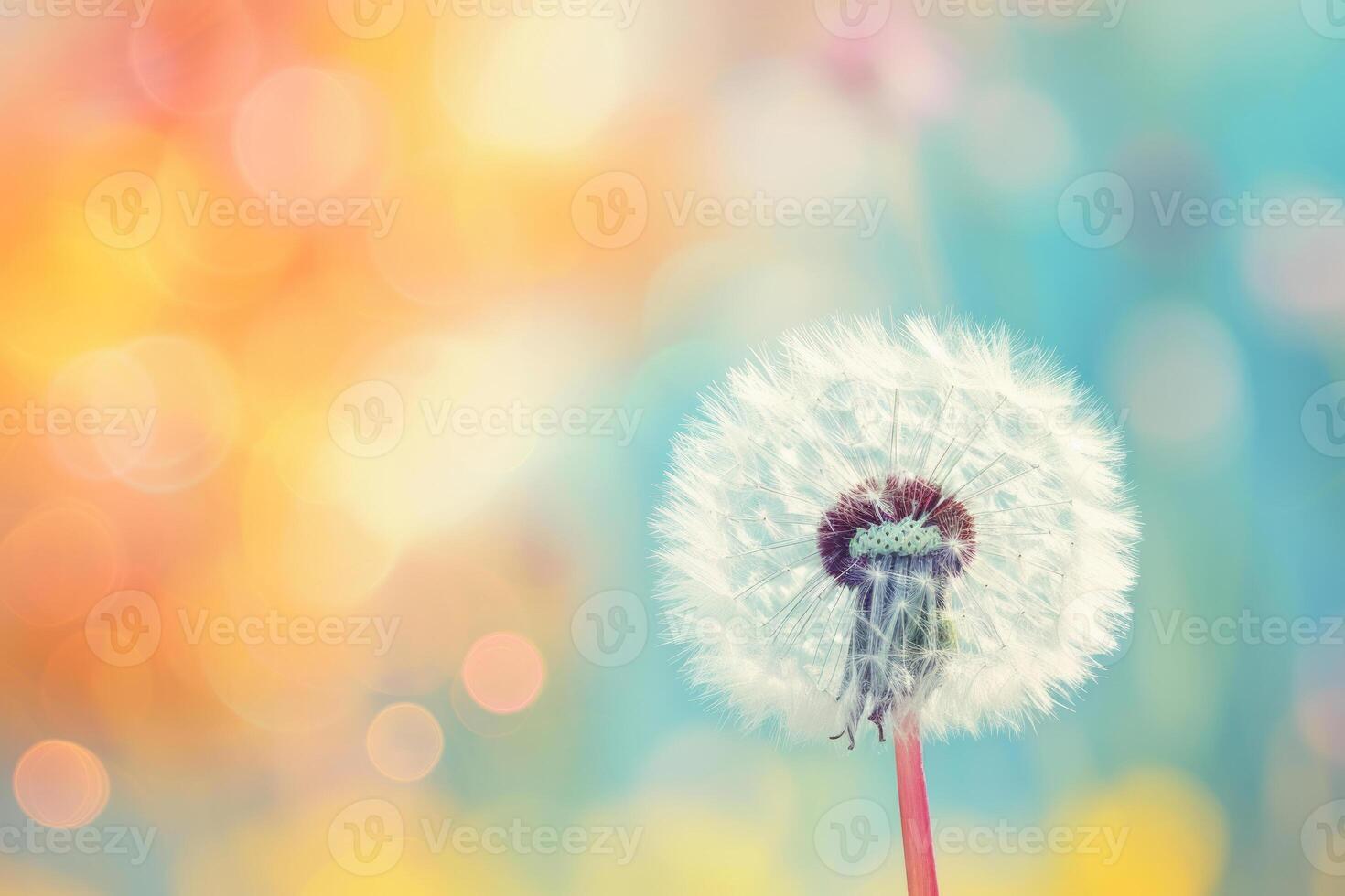 AI generated Dandelion on soft pastel background. Closeup of dandelion in morning sunlight. Generative AI photo