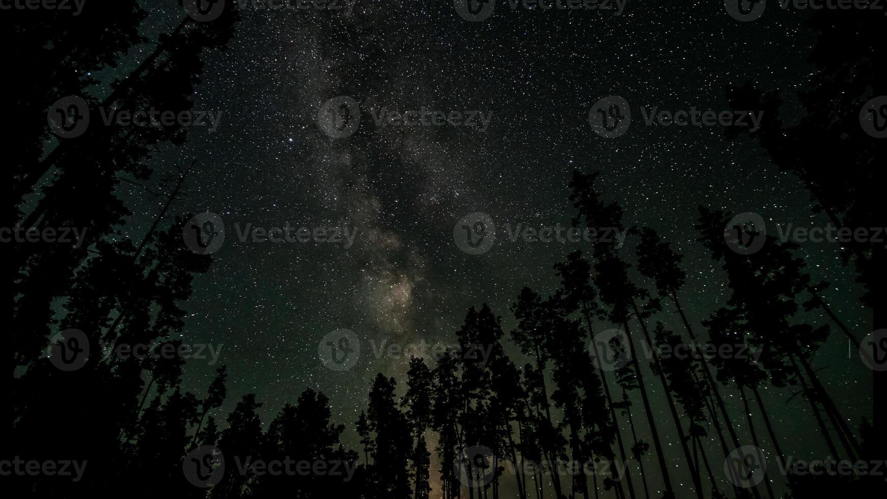 el lechoso camino galaxia encima el siluetas de arboles estrellado noche antecedentes. foto