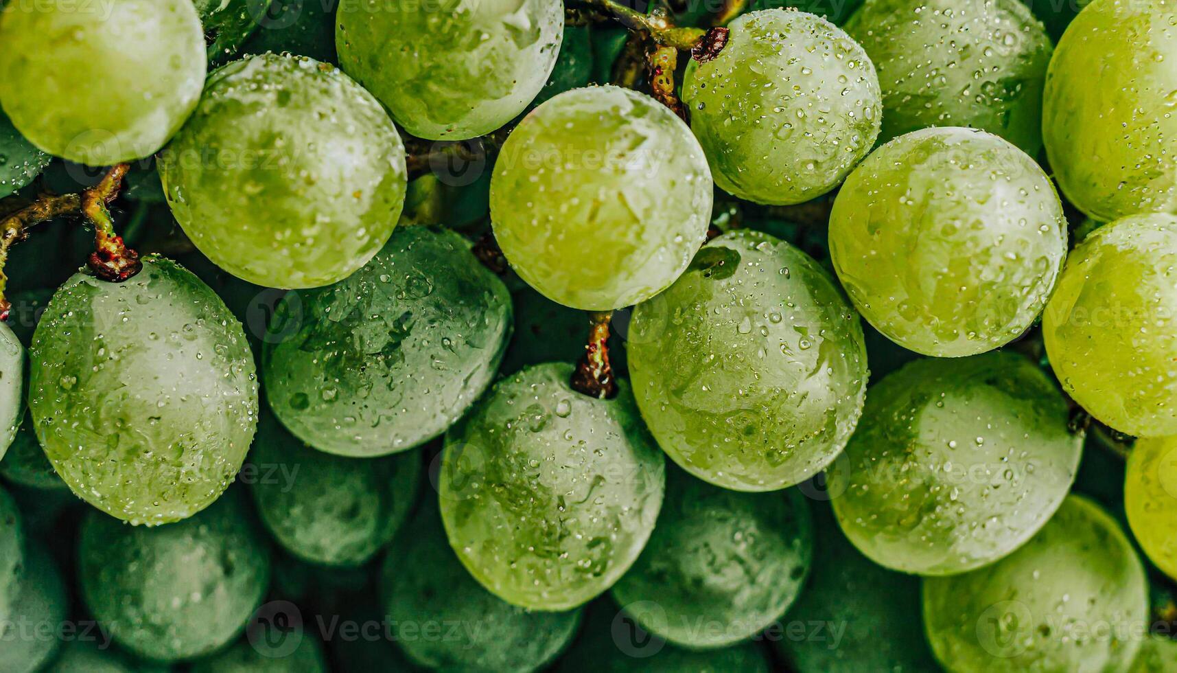 AI generated Backgroundof green grape,Generated Image photo