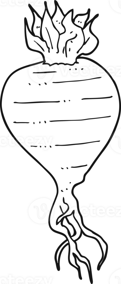 black and white cartoon turnip png