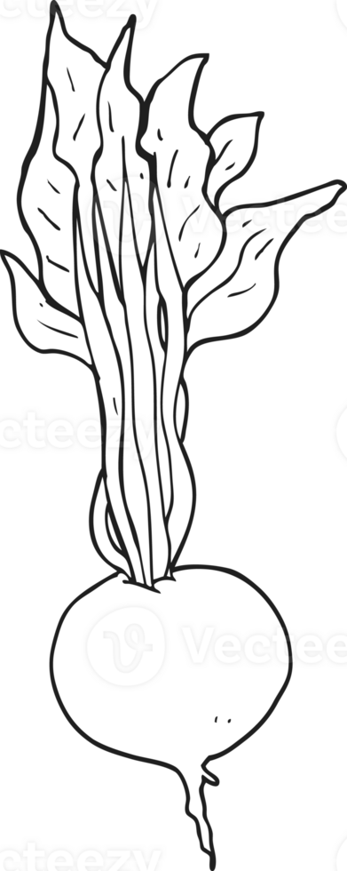 black and white cartoon beetroot png
