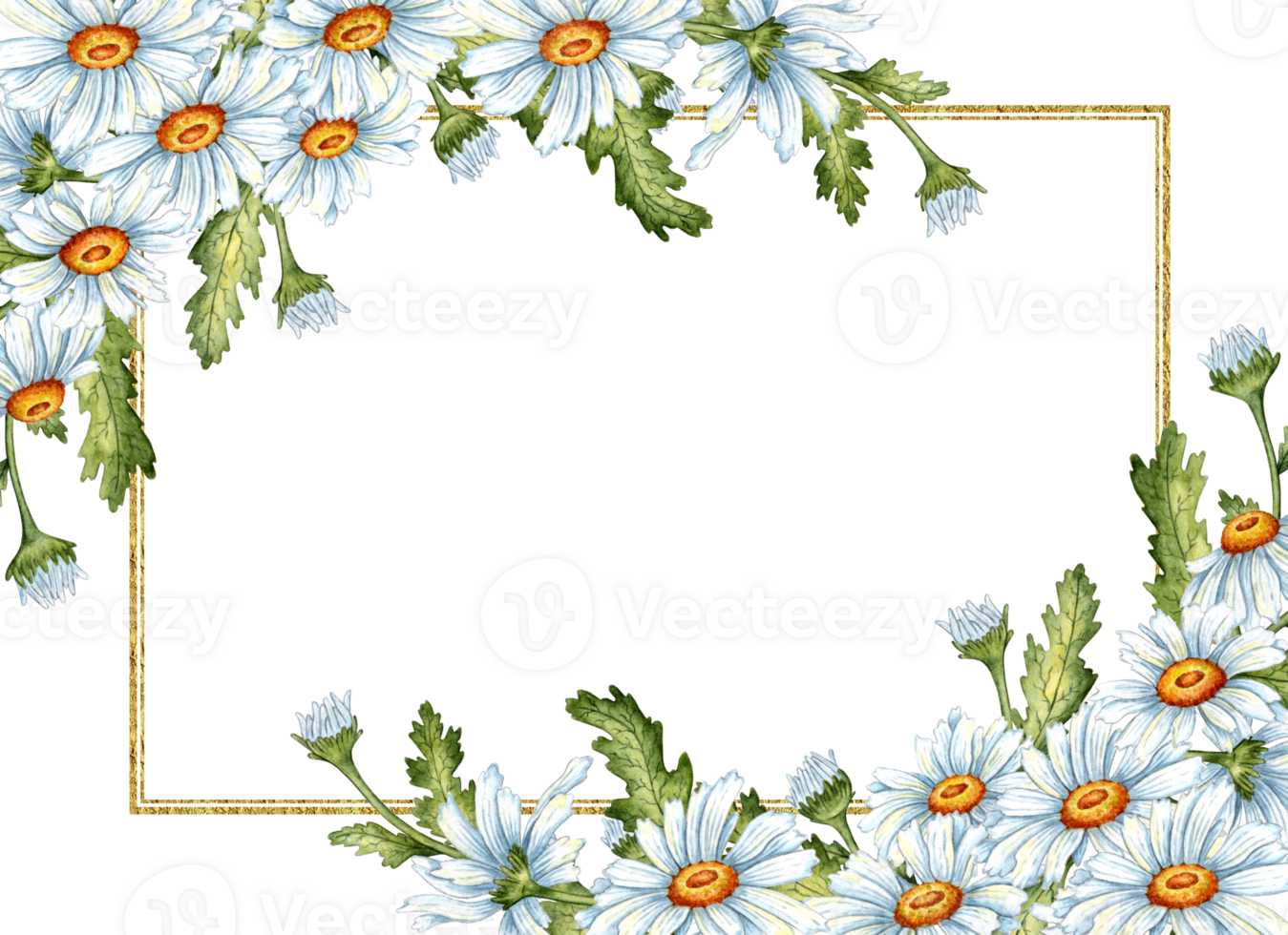 Aquarell Illustration von ein golden rechteckig Rahmen von Weiß Gänseblümchen, Knospen, Grün Blätter. isoliert Wiese Blumen Komposition zum Hochzeiten, Poster, Karten, Banner, Flyer, Abdeckungen, png