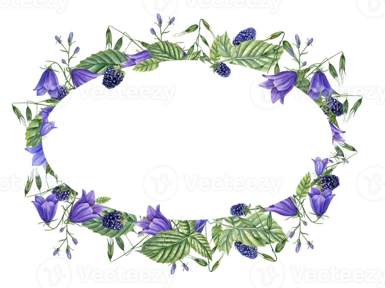 Frame with ripe aromatic Blackberries, meadow Herbs and Flowers. Berries, campanula, avena. Dewberry, bramble. Watercolor illustration for template, package. Space for text png