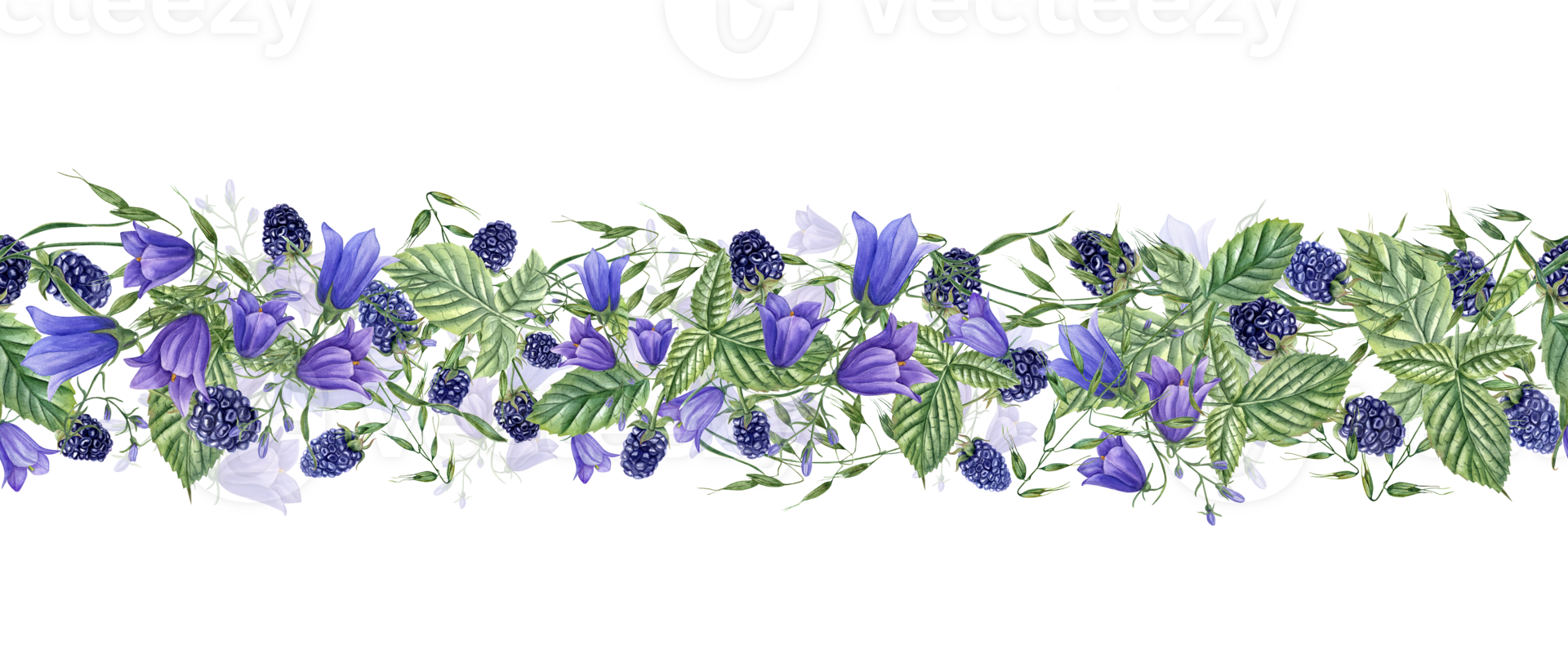 Seamless border with forest Blackberries and meadow plants. Berries, campanula, avena. Dewberry, bramble, harebells. Watercolor illustration. For template package textile. png