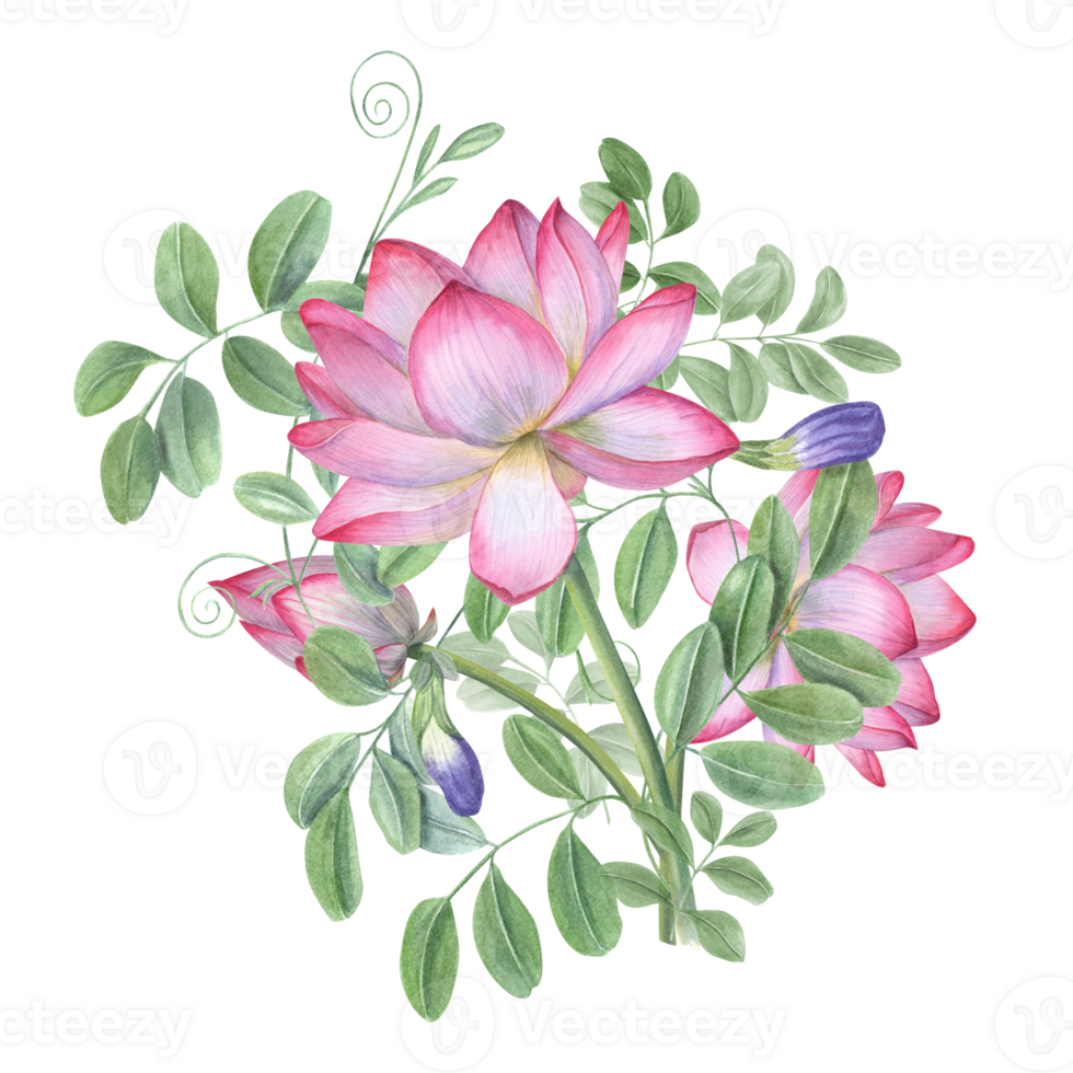 boeket van blauw clitoria ternatea en lotus. bloeiend bloemen, groen bladeren. waterlelies, blauweregen. knop, bloem, blad, stang. waterverf illustratie voor groeten etiket ontwerp png