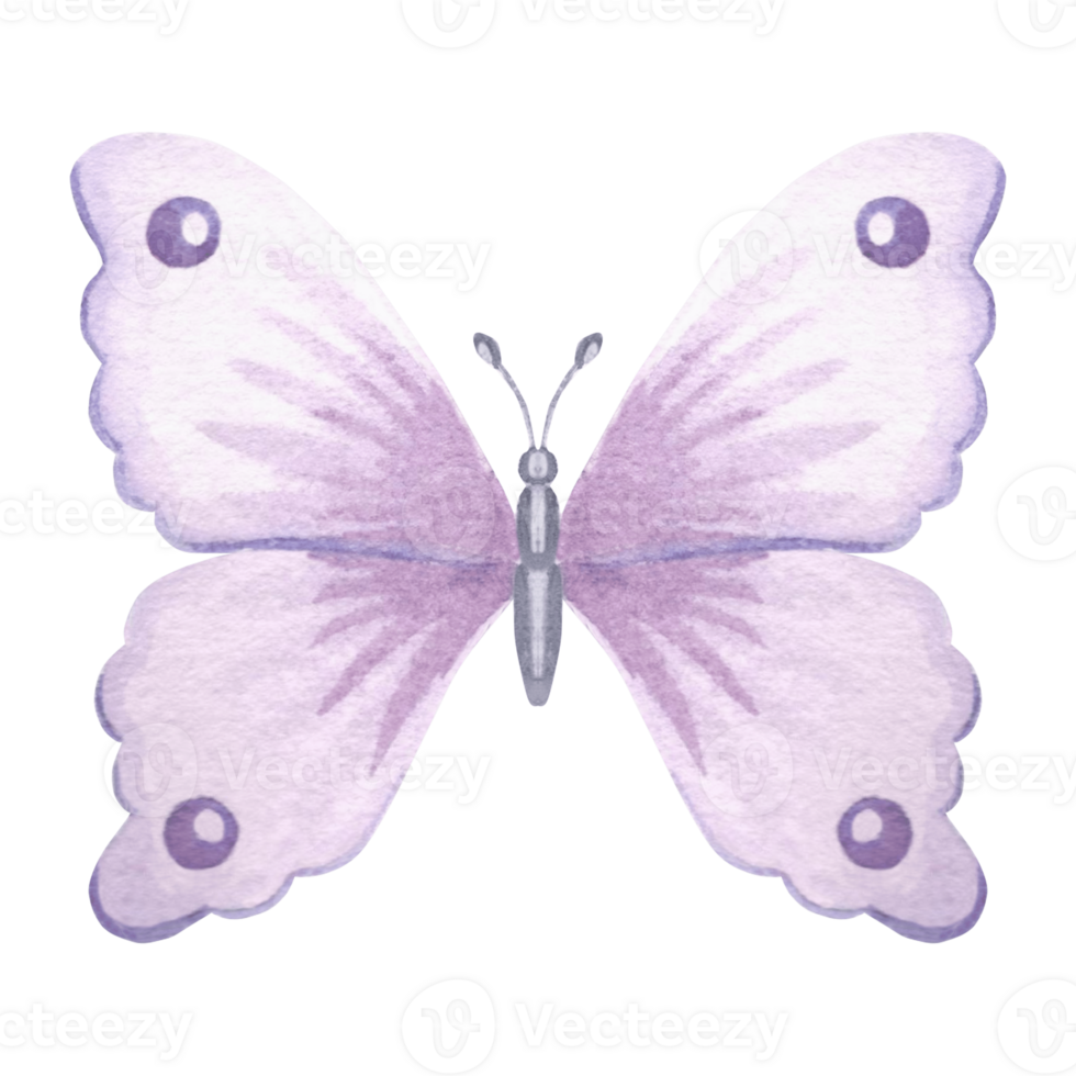 Watercolor flying butterfly delicate light violet color. Isolated hand drawn illustration spring exotic wild insect Template drawing for card, packaging and tableware, textile and sticker, embroidery. png