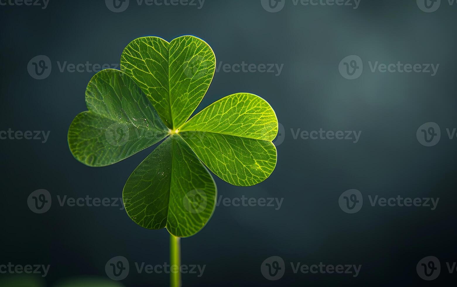 AI generated A green clover leaf isolated on a dark background photo