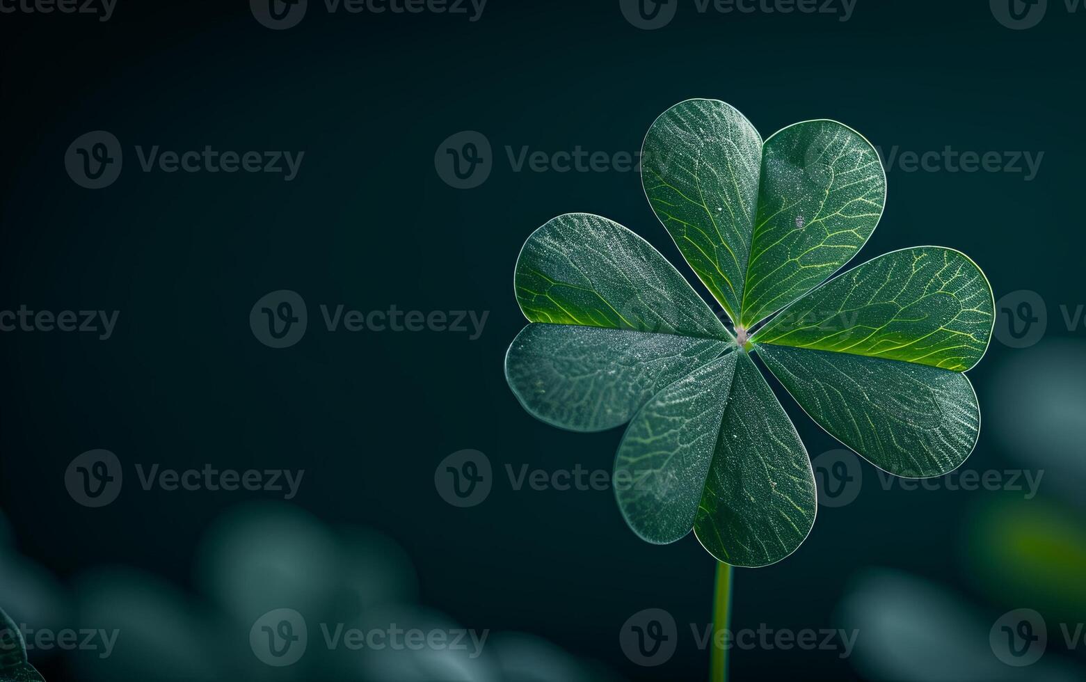 AI generated A green clover leaf isolated on a dark background photo