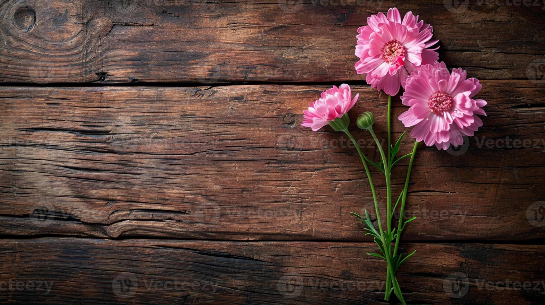 AI generated Three pink cosmos flowers with a bud and green stems against a wooden background photo