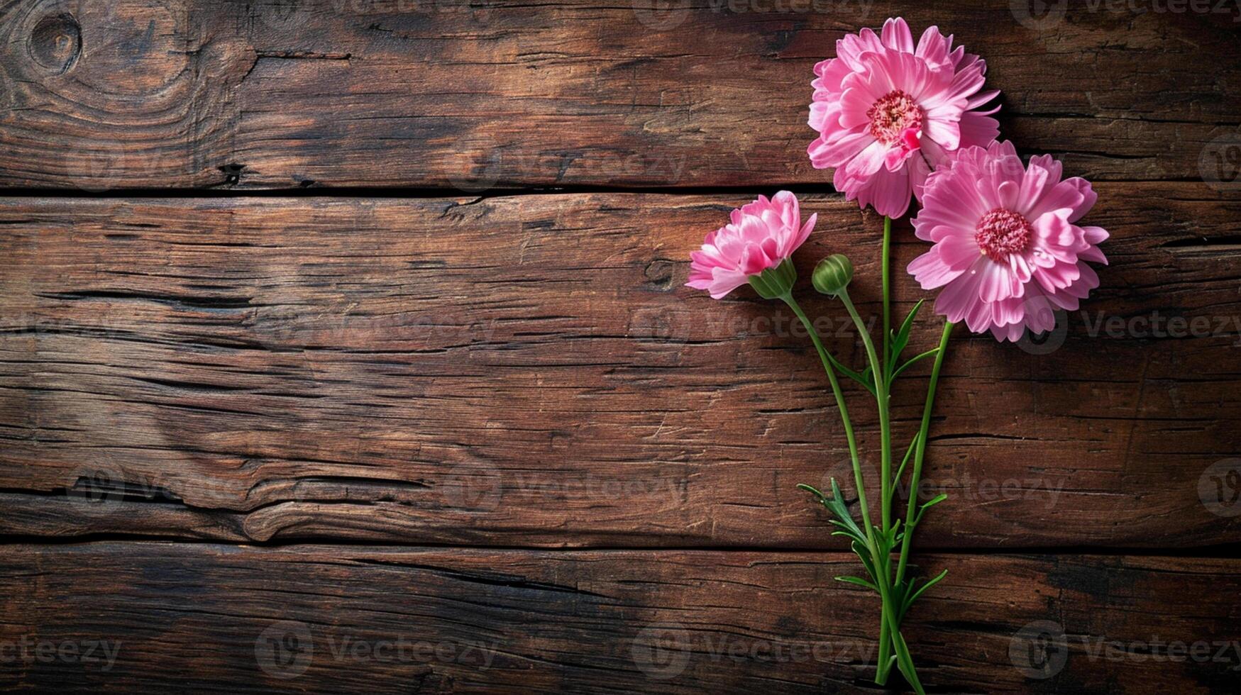 ai generado Tres rosado cosmos flores con un brote y verde tallos en contra un de madera antecedentes foto