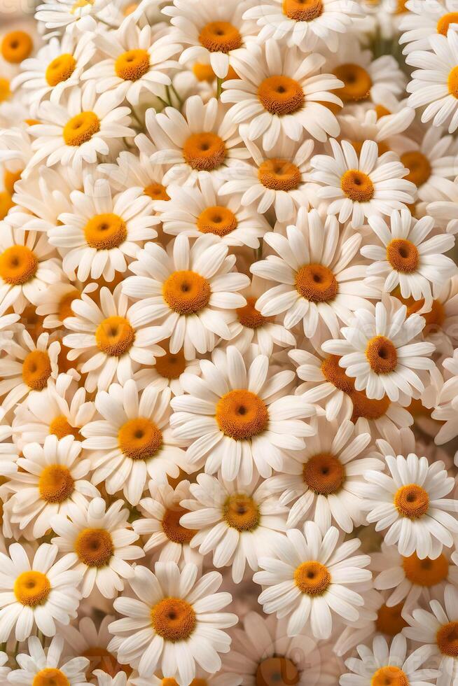 AI generated Background Of Hyper Realistic Dozens of Daisies Bouquet photo