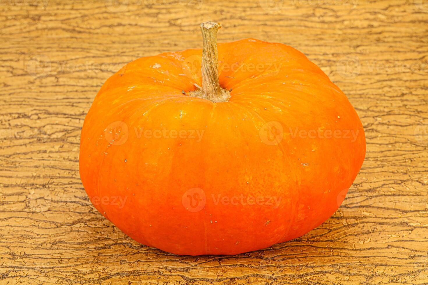 Ripe pumpkin ready for cooking photo