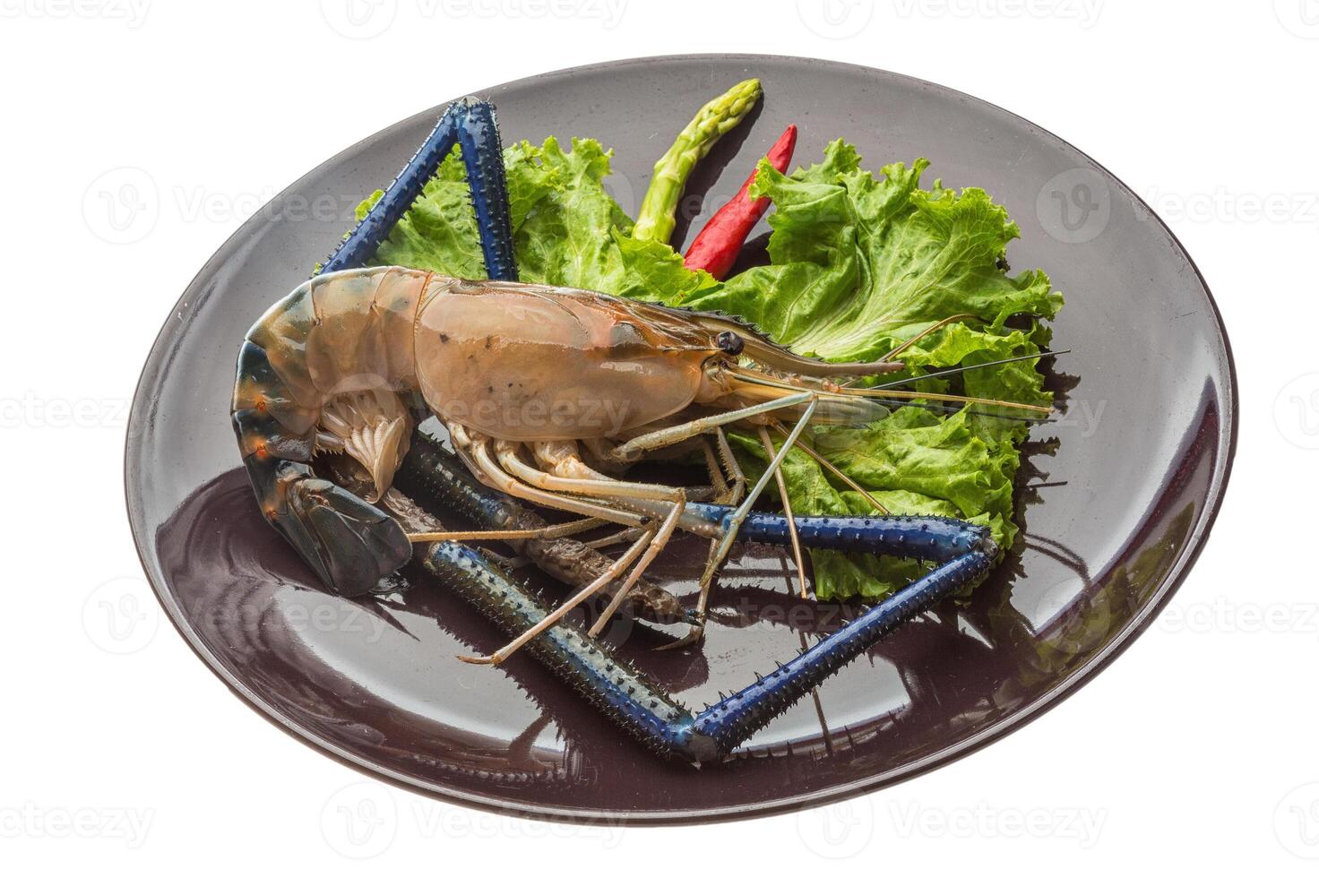 Freshwater prawn in the bowl photo
