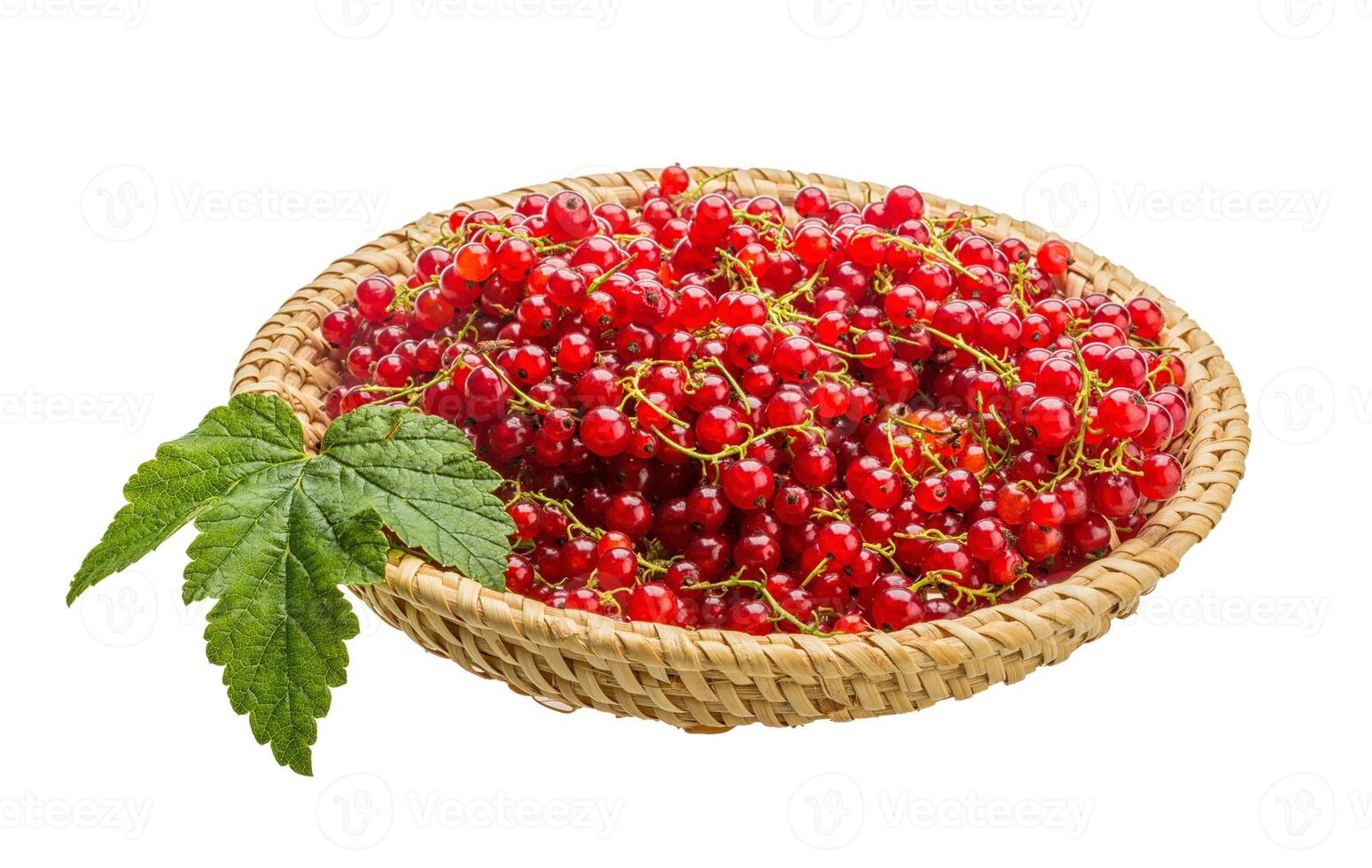 Red currant in the bowl photo