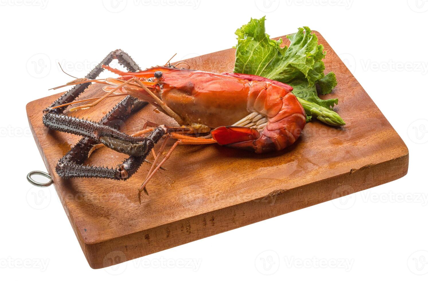 Giant Freshwater Prawn photo