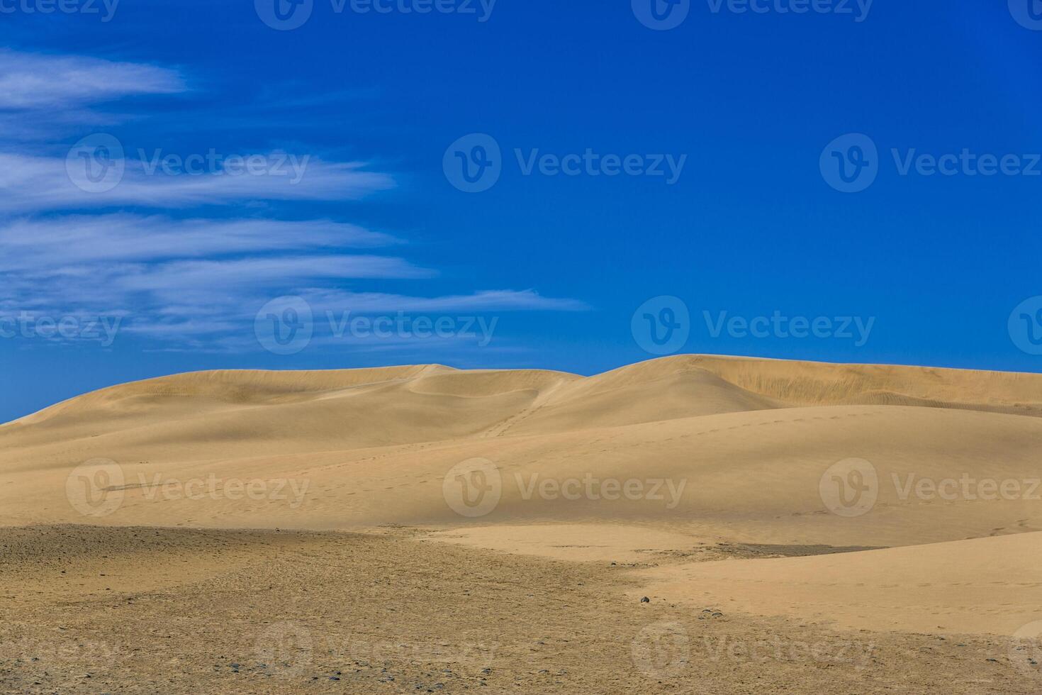 Maspalomas Duna - Desert in Canary island Gran Canaria photo