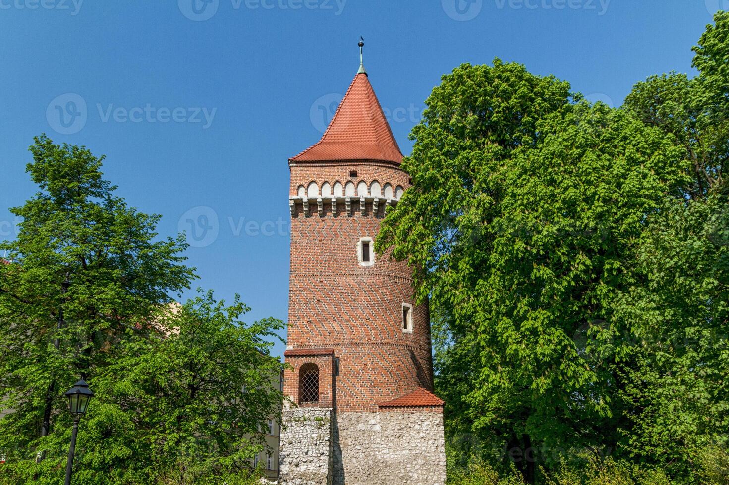 Royal castle in Wawel, Krakow photo