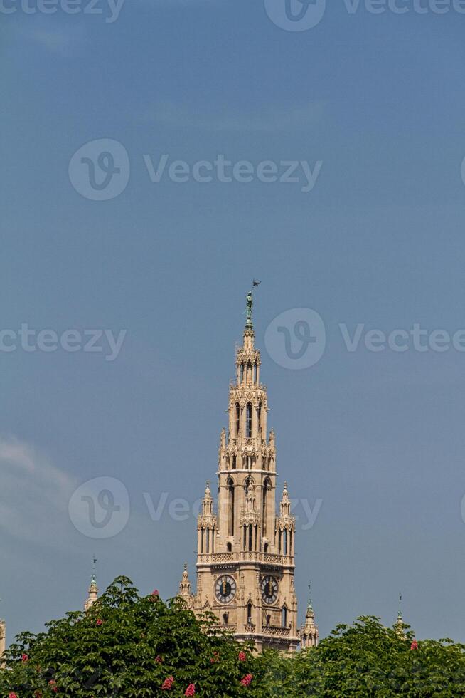 Vienna's City Hall - Town Hall photo