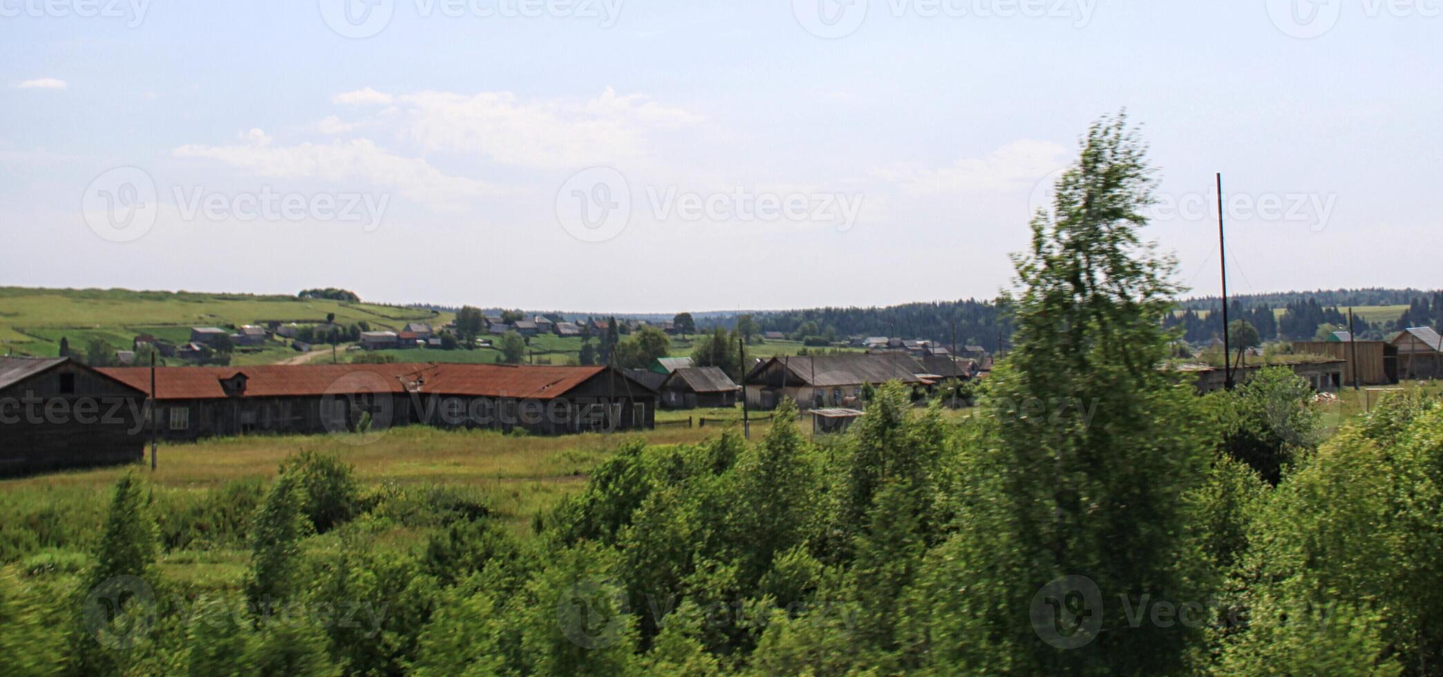 Green valley tree photo