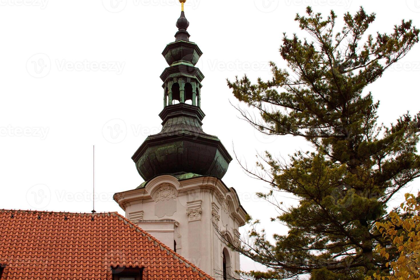 The View on the Prague's gothic Castle and Buildings photo