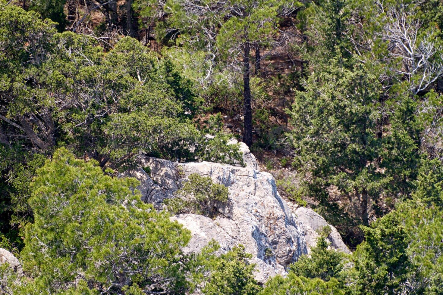 alta montaña y rocas en grecia rodas foto