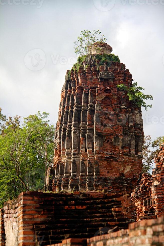 Pagoda at Wat Chaiwattanaram Temple, Ayutthaya, Thailand photo