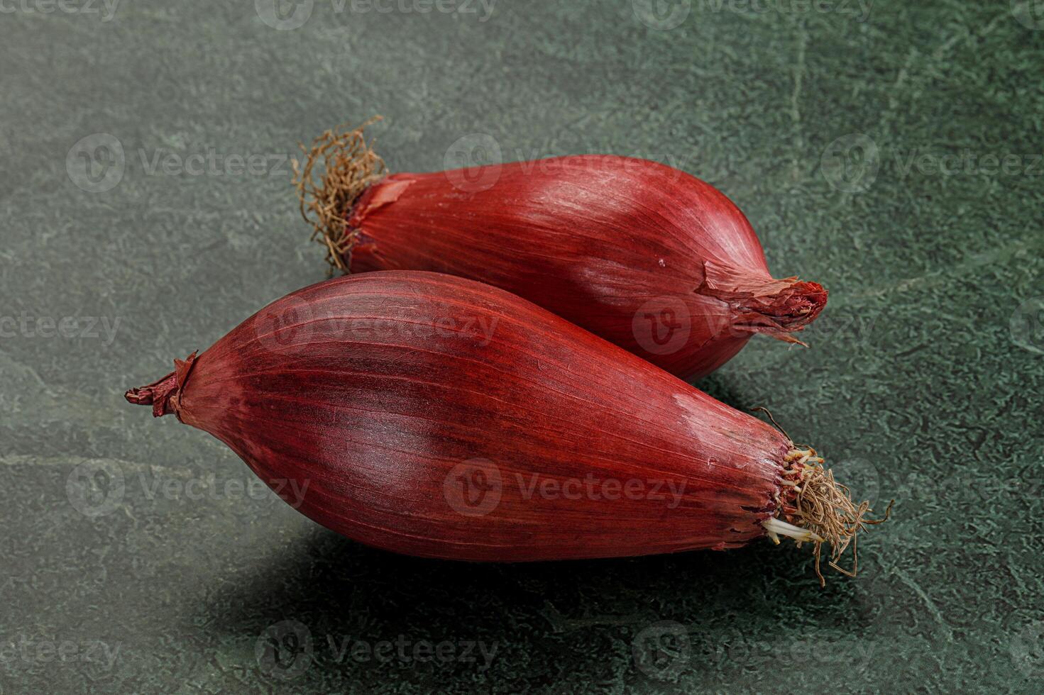 Violet raw onion for cooking photo