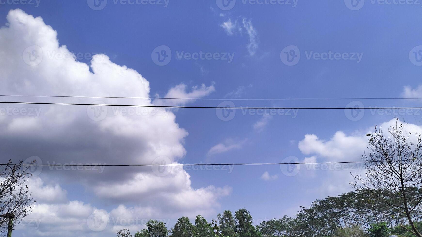 Beautiful view of cloud in the forest photo