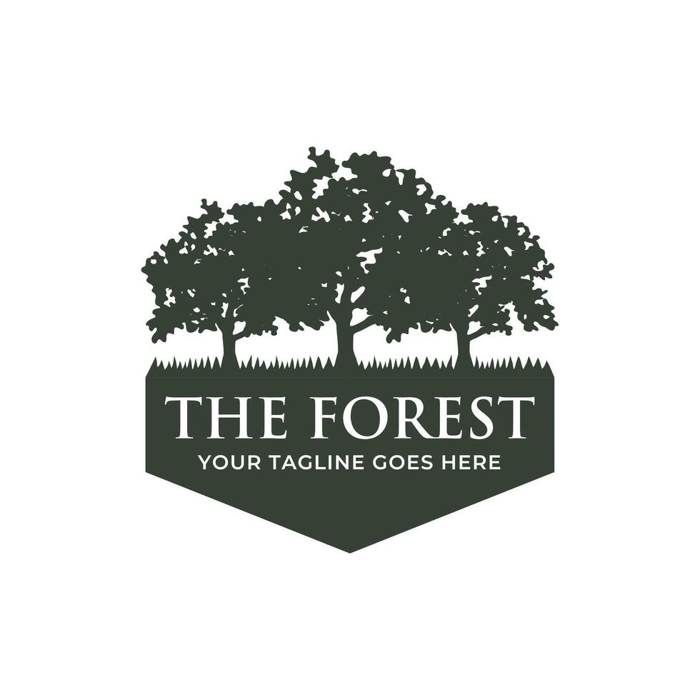 Tree logo design. Pine forest logo vector illustration