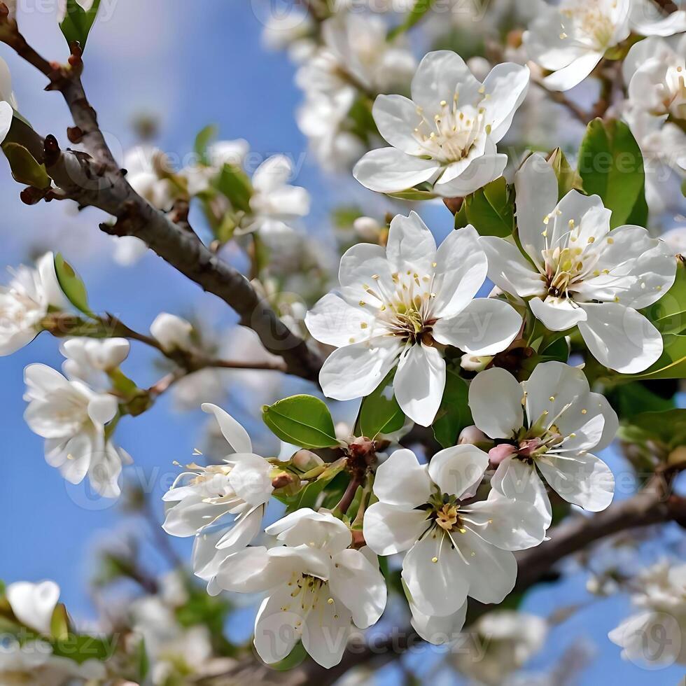 AI generated Branch of a tree white blossoms spring photo