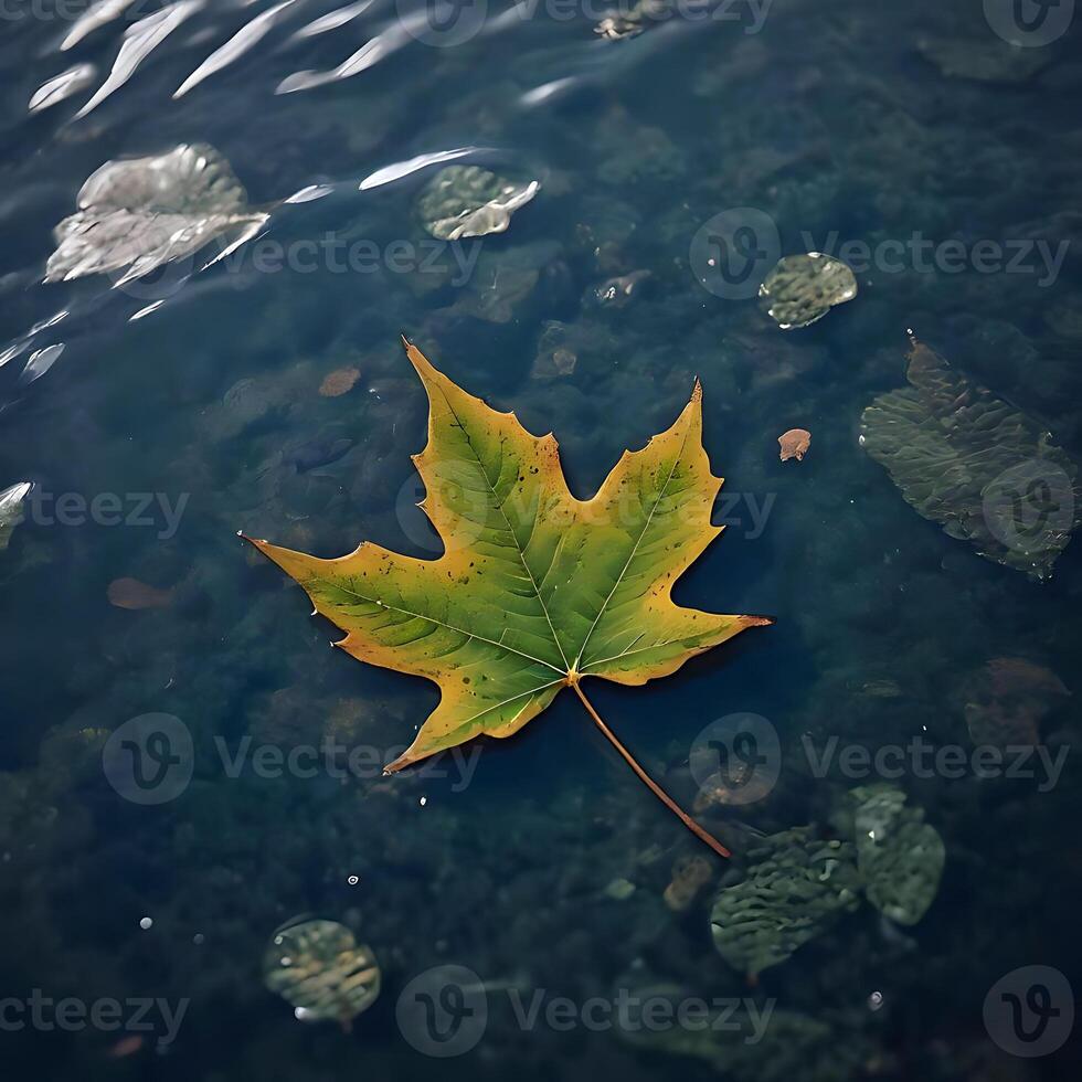 ai generado sereno agua hoja foto