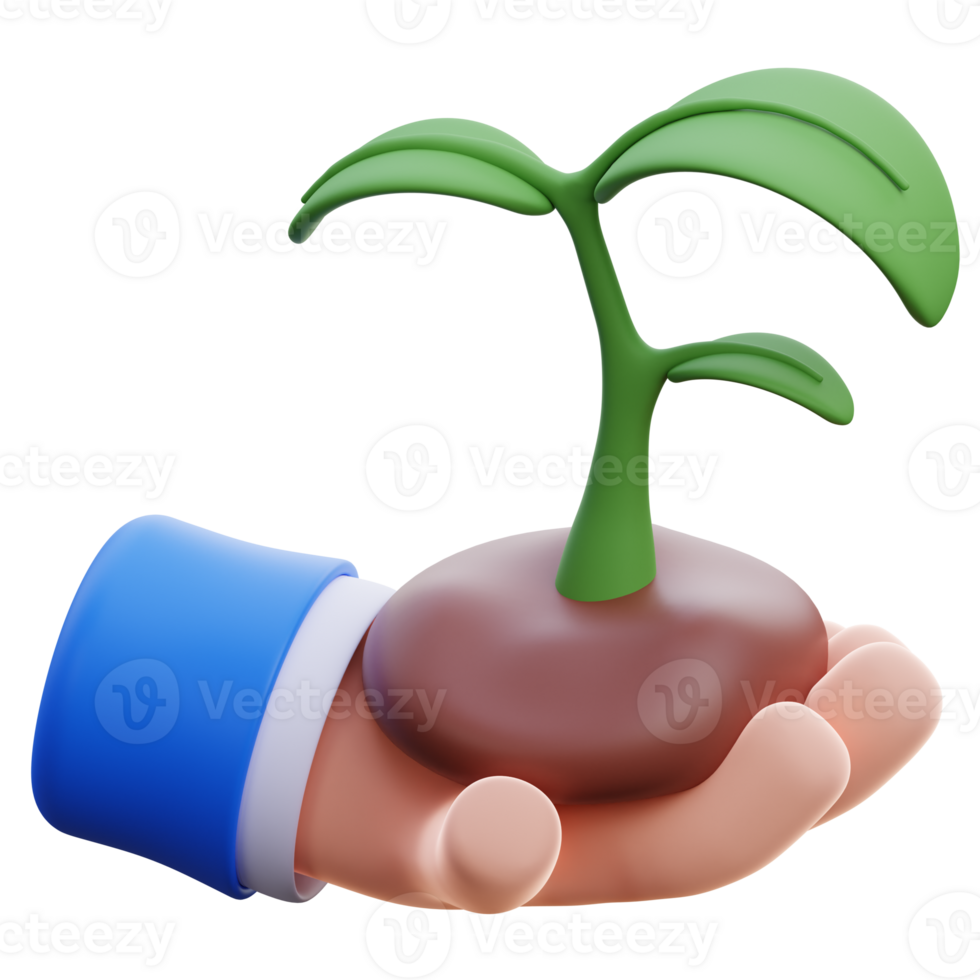 3D plant icon on transparent background png