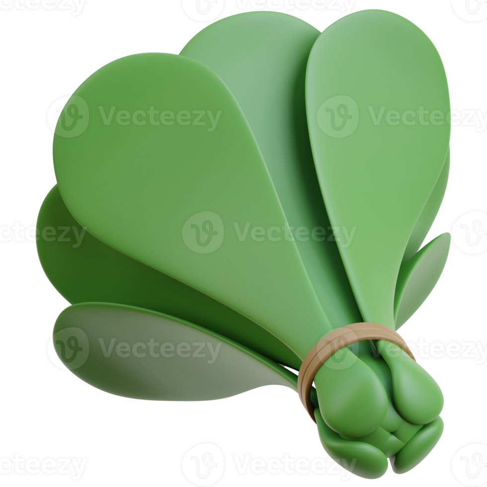 3D spinach icon on transparent background png