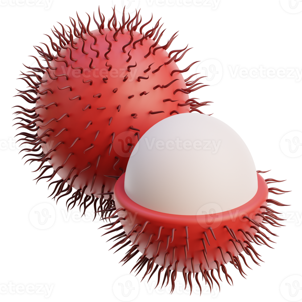 3D rambutan icon on transparent background png