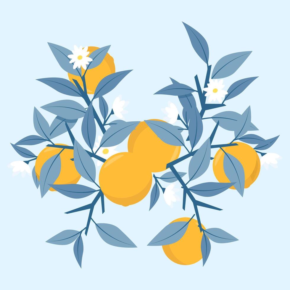 Composition of oranges and blue branches vector