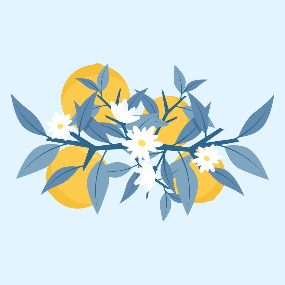 Elegant composition of blue branches with leaves and oranges vector