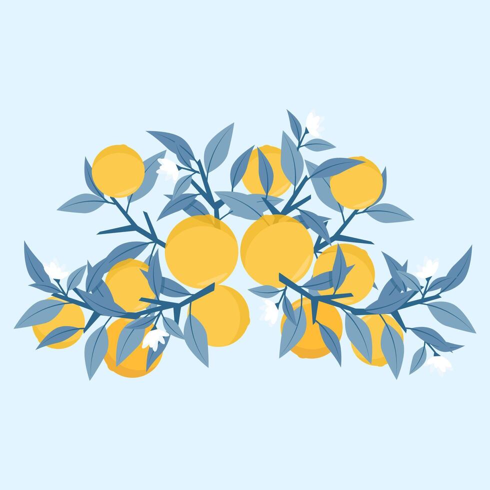 elegante composición de ramas y naranjas vector