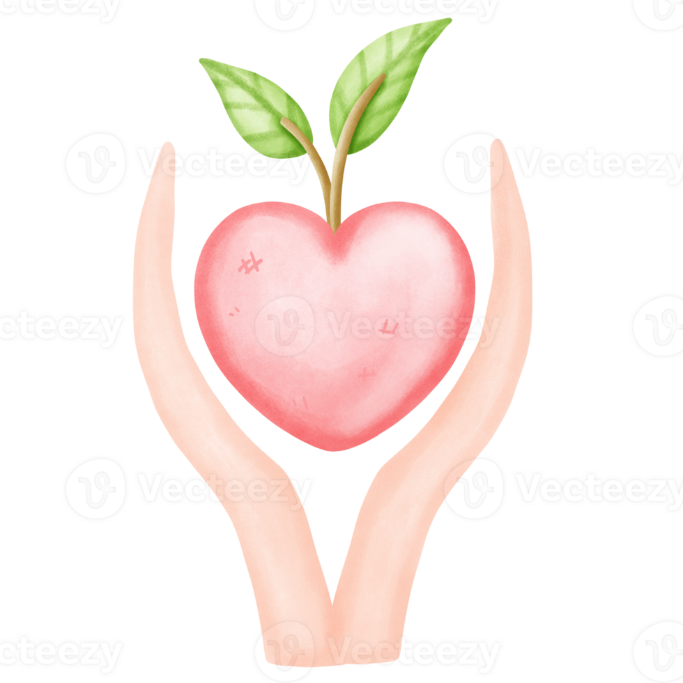 Hospital element, physical education 39200876 PNG