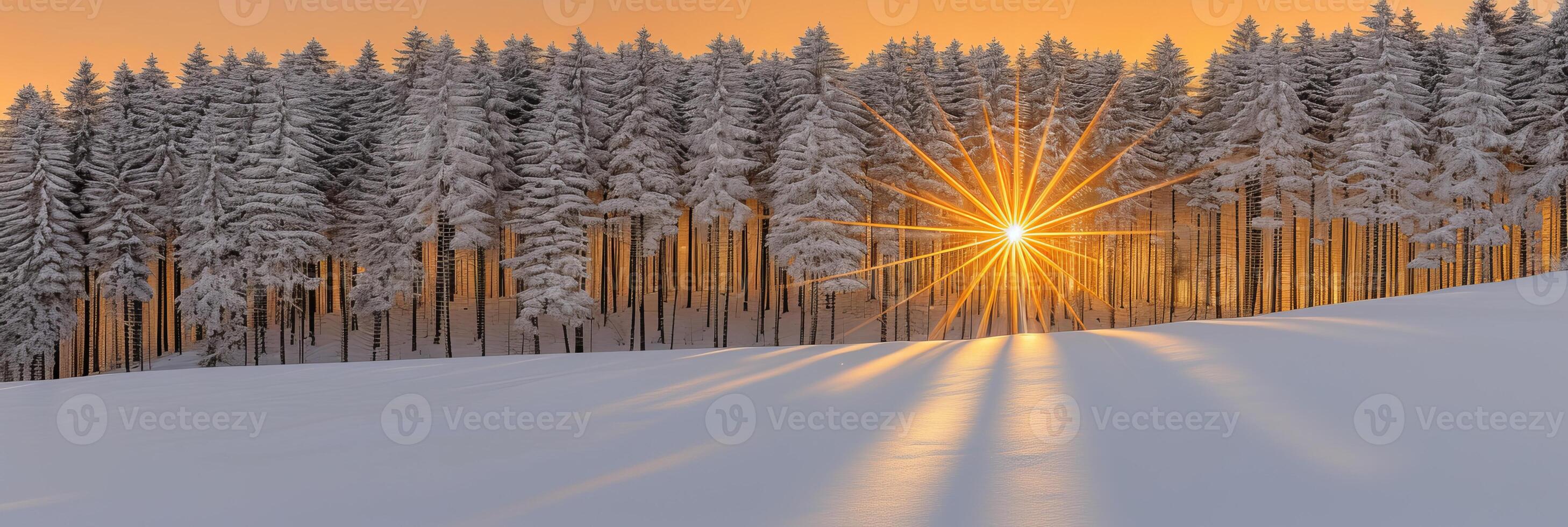 AI generated Winter forest landscape with sun rays and magical atmosphere as nature background photo