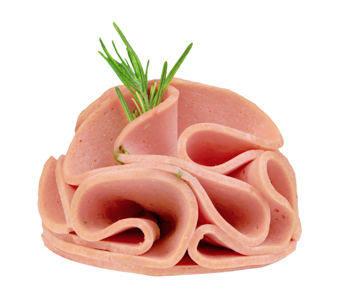 bologna sliced isolated png