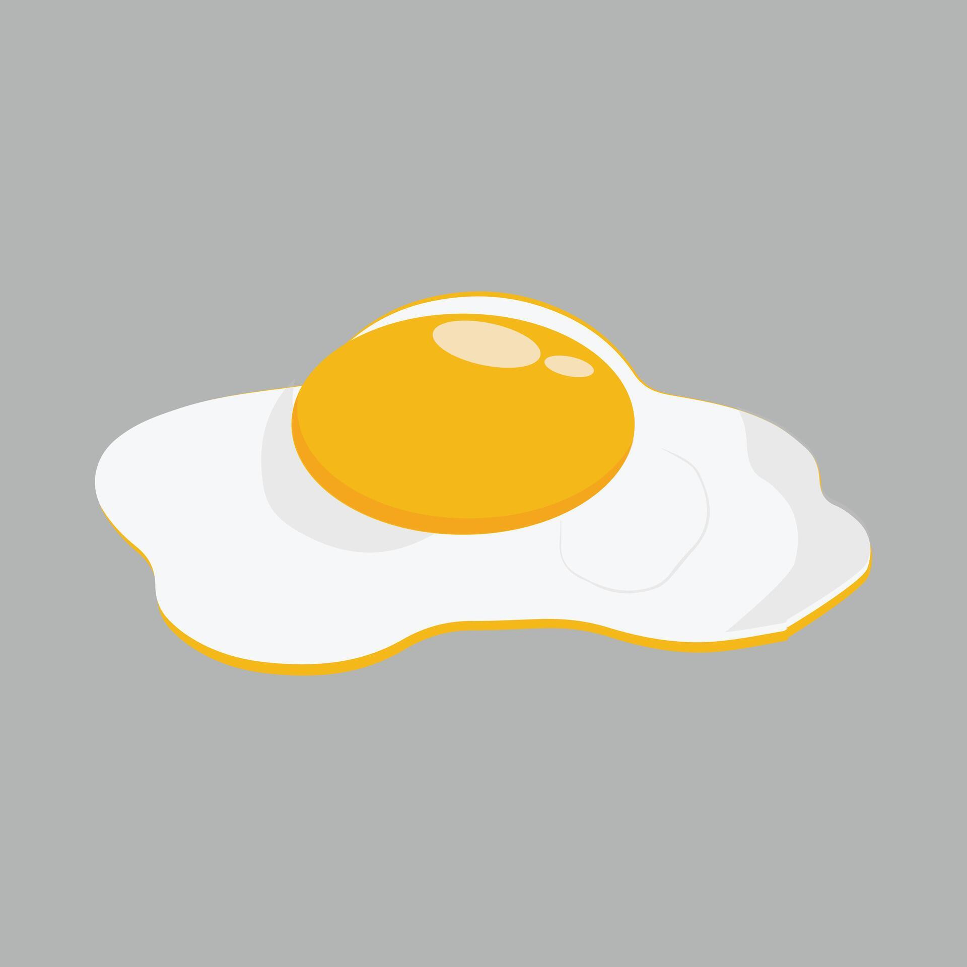 Egg vector illustration, Collection of whole, broken, fried, yolks