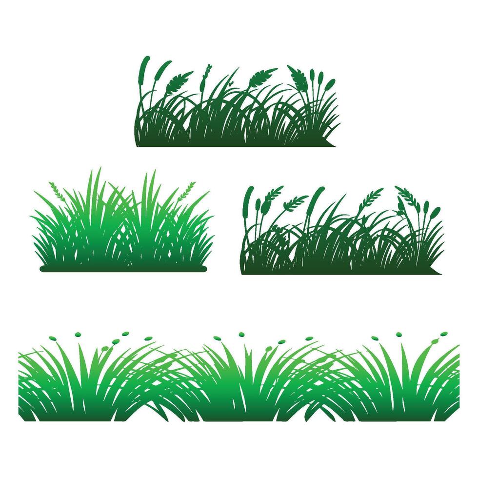 Green grass isolated on white background vector