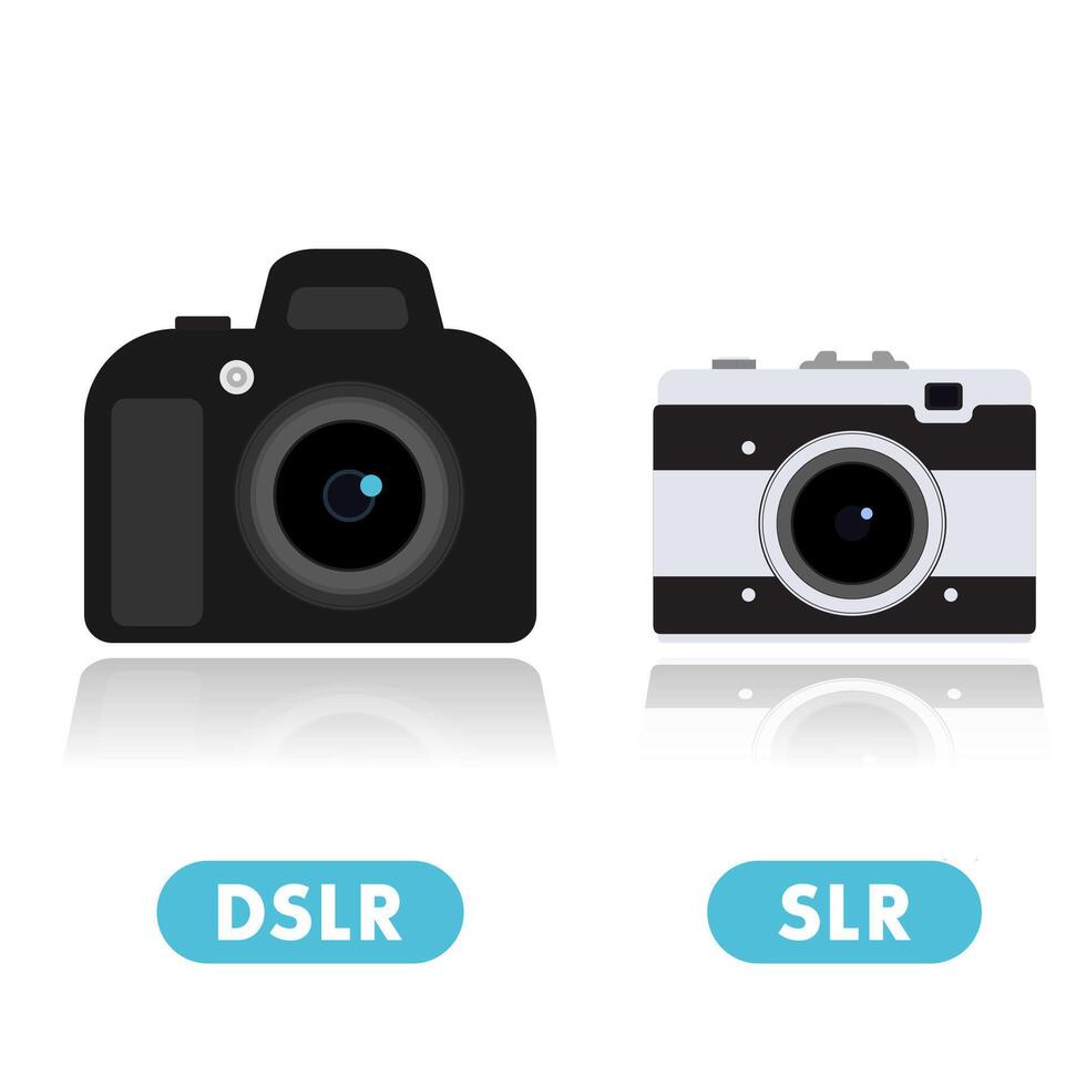 DSLR camera and retro compact camera icons isolated on white, vector illustration