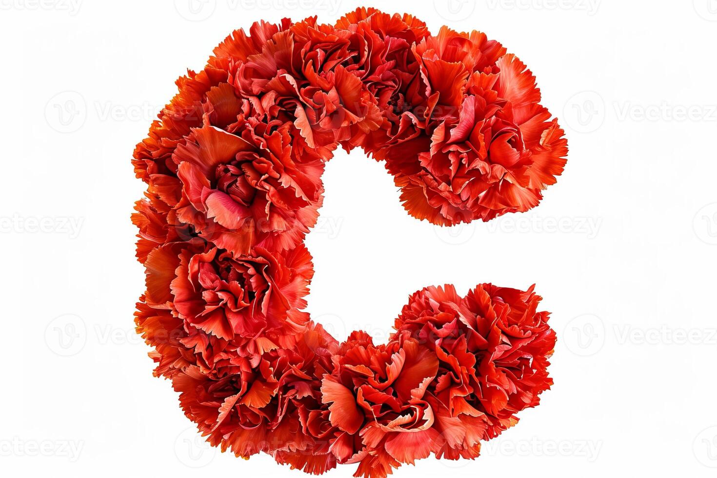 AI generated Carnation flower 3d letter  c  isolated on white background for creative designs and floral concepts photo