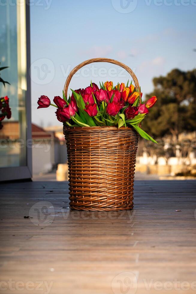 mimbre cesta desbordante con rojo y amarillo tulipanes foto