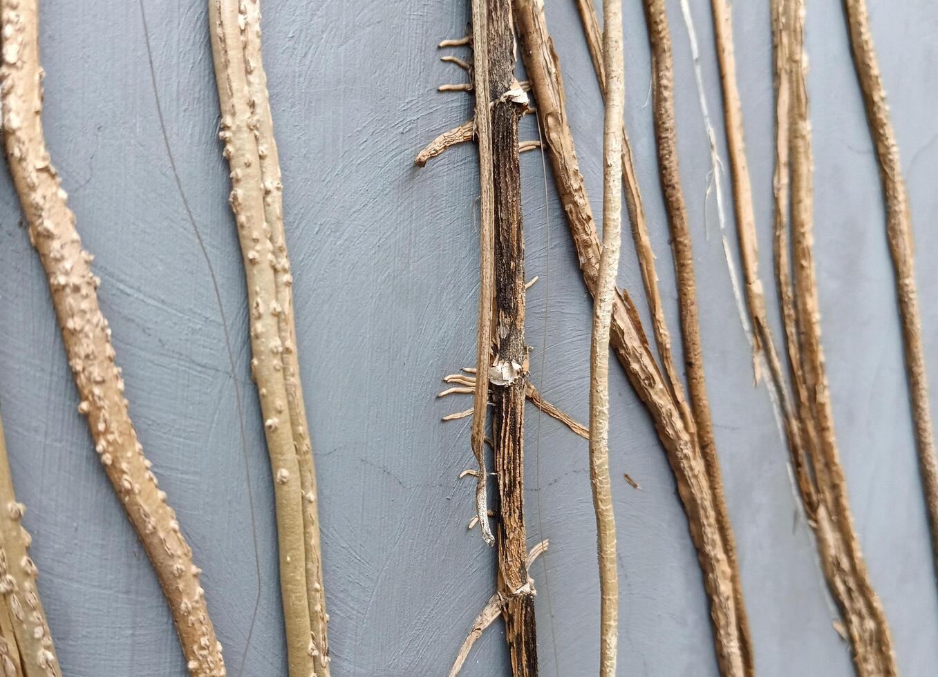a plant on the wall. vertical flower photo