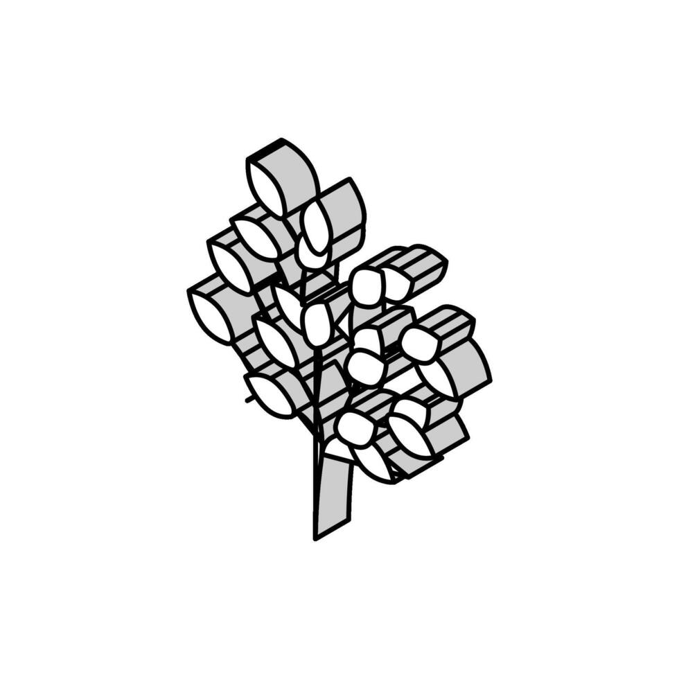 sakaki tree branch shintoism isometric icon vector illustration