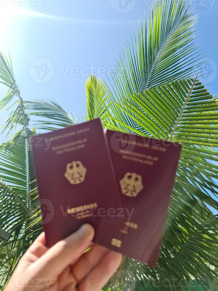 un mano sostiene dos alemán pasaportes en frente de un suave viaje antecedentes en el Maldivas con palma arboles y playa. foto