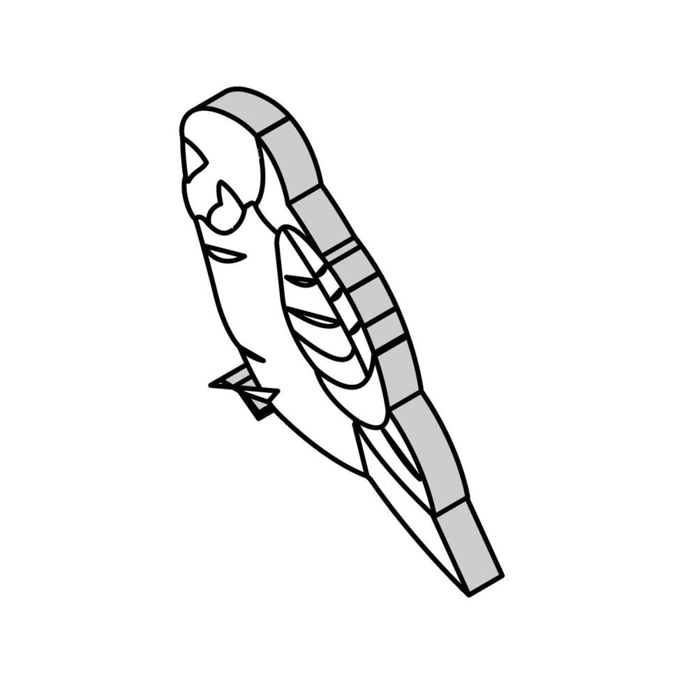 budgerigar parakeet parrot bird isometric icon vector illustration