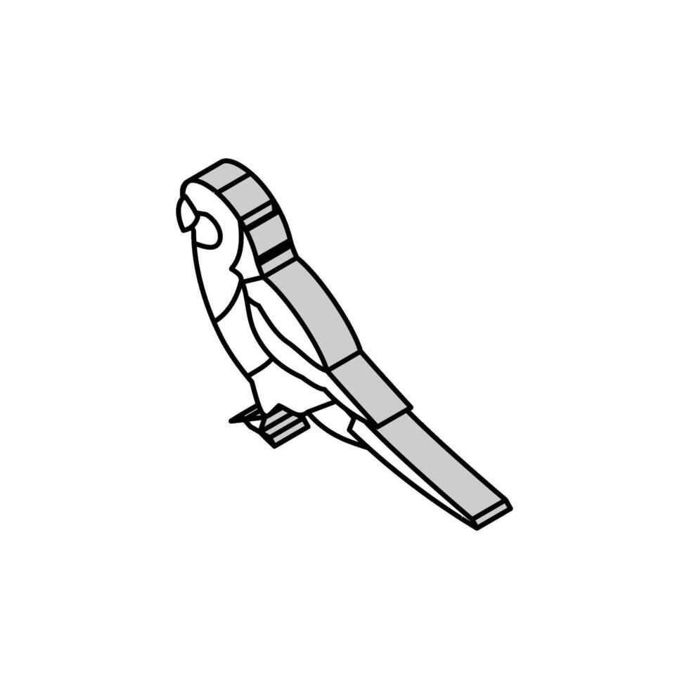 oriental rosella loro pájaro isométrica icono vector ilustración